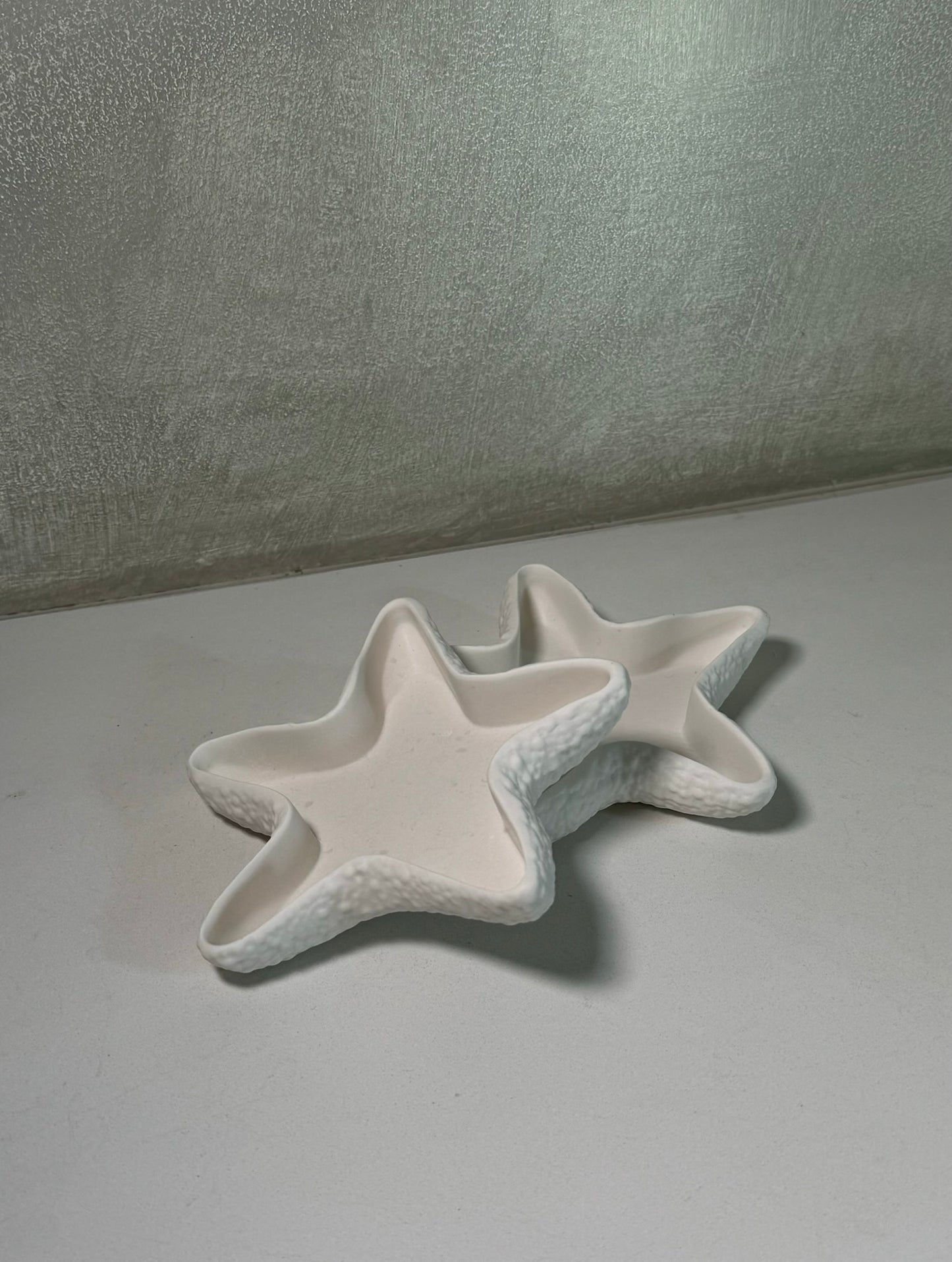 Starfish tray